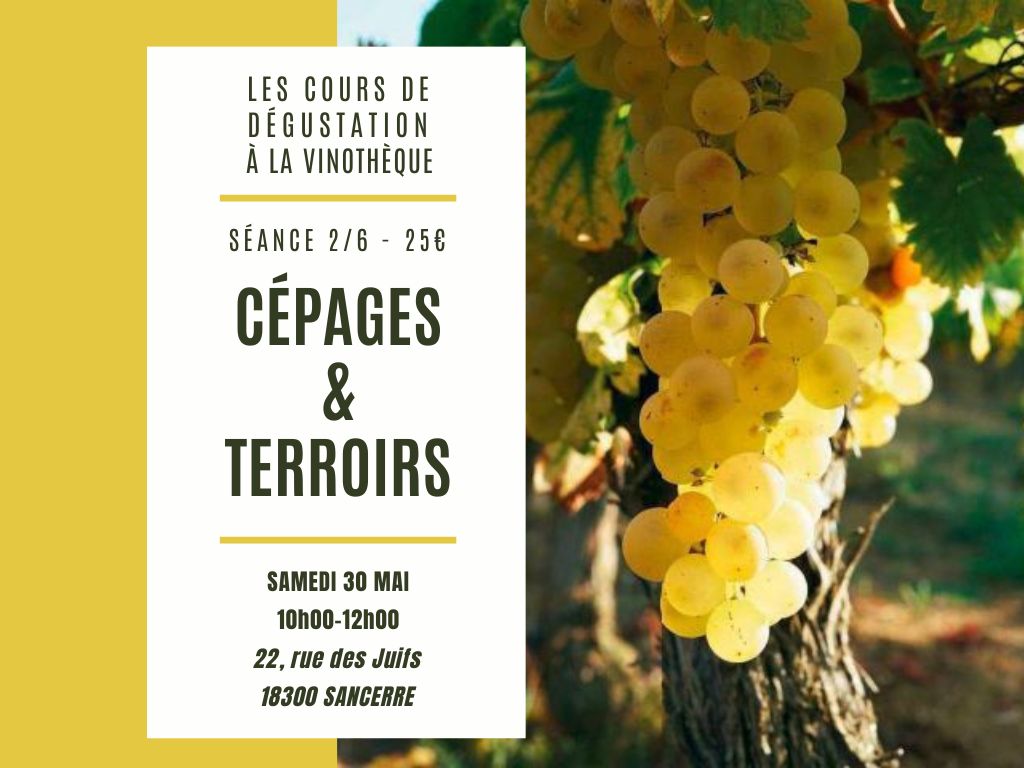 Cours d&rsquo;Initiation à la dégustation  Sancerre