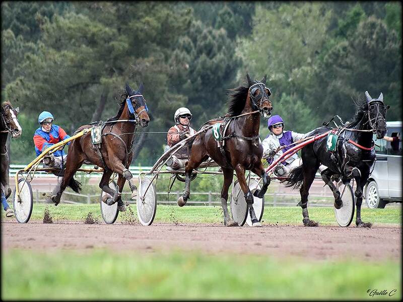 Course hippique La Petite Bidane Langon