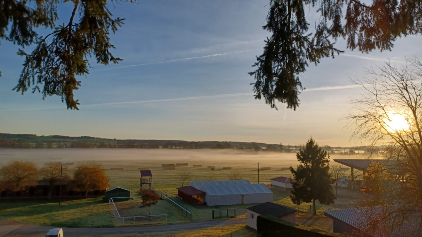 Courses Hippiques Plat/Obstacle  La Roche-Posay
