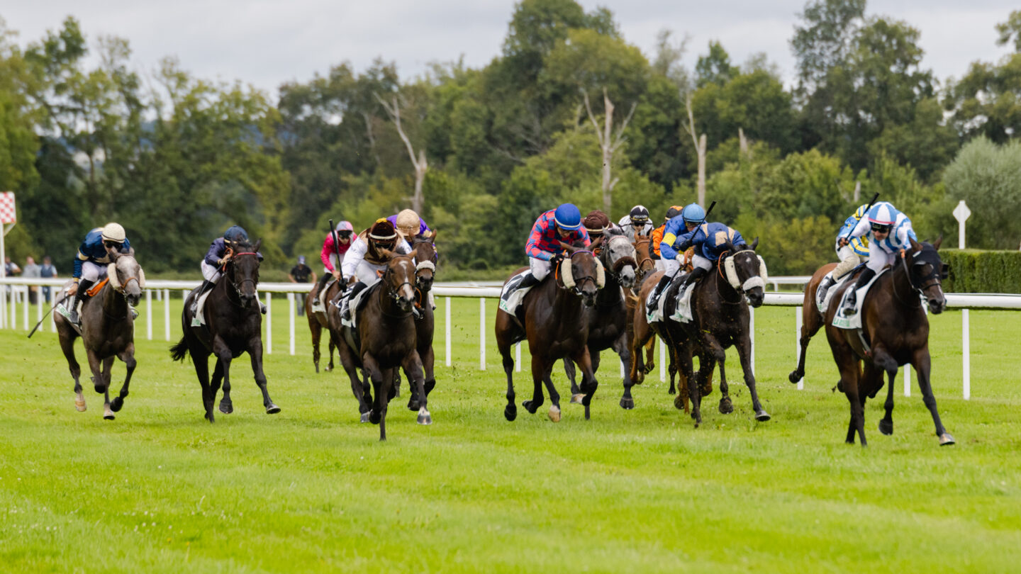 Courses Trot/Obstacle  La Roche-Posay