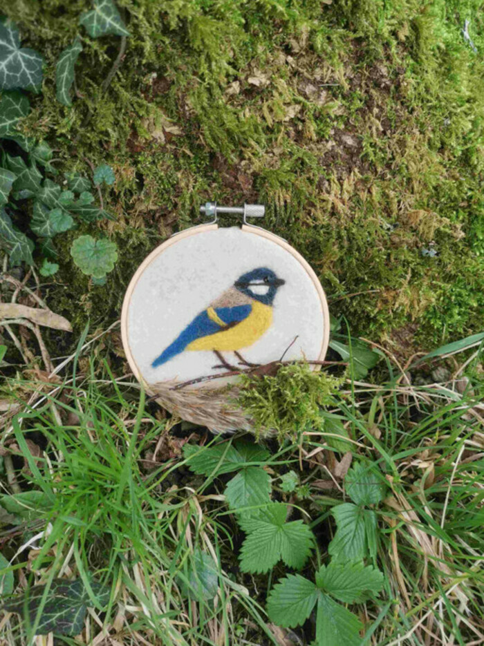 Croquant et bidouilles : des oiseaux en laine feutrée Bibliothèque de la Grand'Mare Rouen