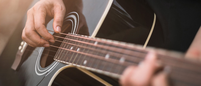 Croque musicale, La julienne, Plan-les-Ouates