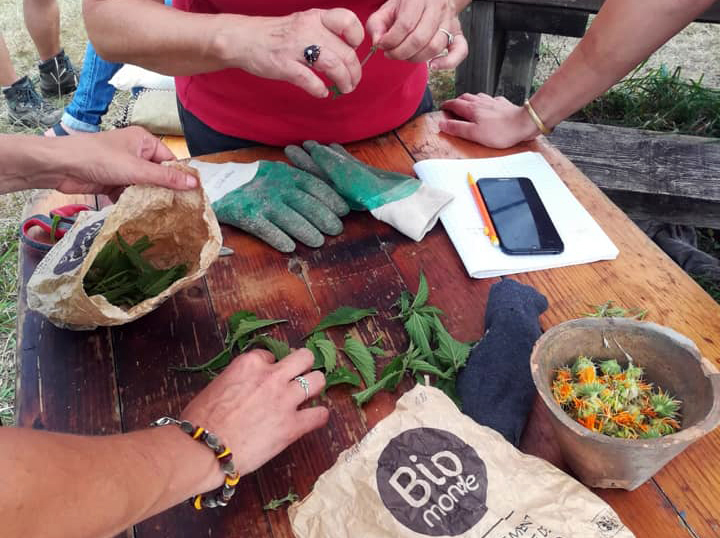 De la cuisine au compost 297 avenue de l'Adour Anglet 2026-05-17