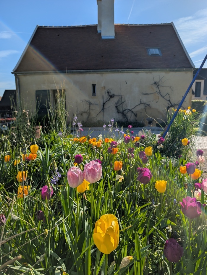 De l&rsquo;ombre à la lumière, Musée Louis Braille, Coupvray
