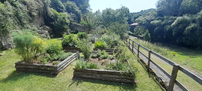 Déambulation dans le jardin médiéval, Jardin médiéval, Saint-Sauvant