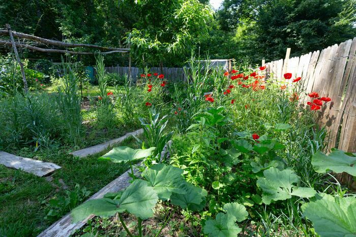 Déambulation dans un espace de biodiversité, La Raviglotte, Campsegret