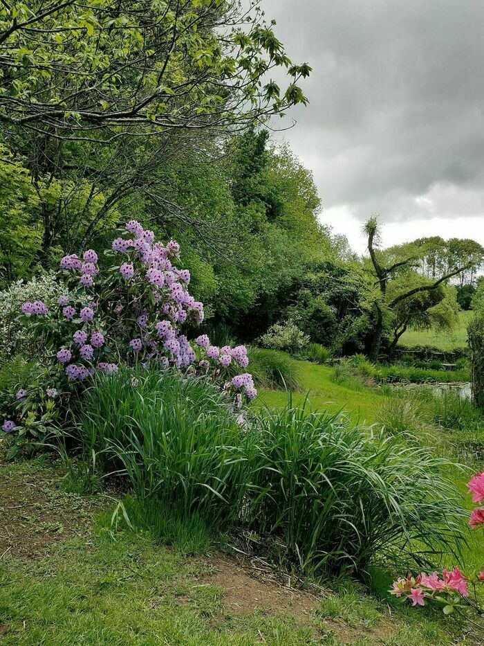 Déambulation dans un jardin aux multiples ambiances Jardin des Vitailles Saint-Yrieix-la-Perche