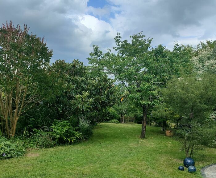 Déambulation dans un jardin paysager, Le jardin de Termi, Laurède