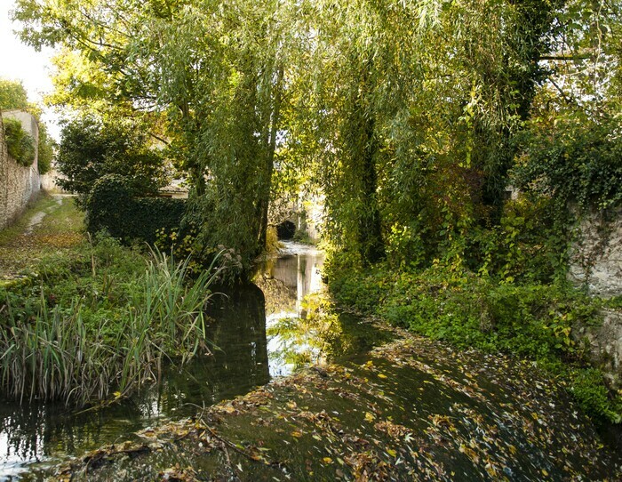 Déambulation de jardin en jardin Bibliothèque d'Orbais-l'Abbaye Orbais-l'Abbaye