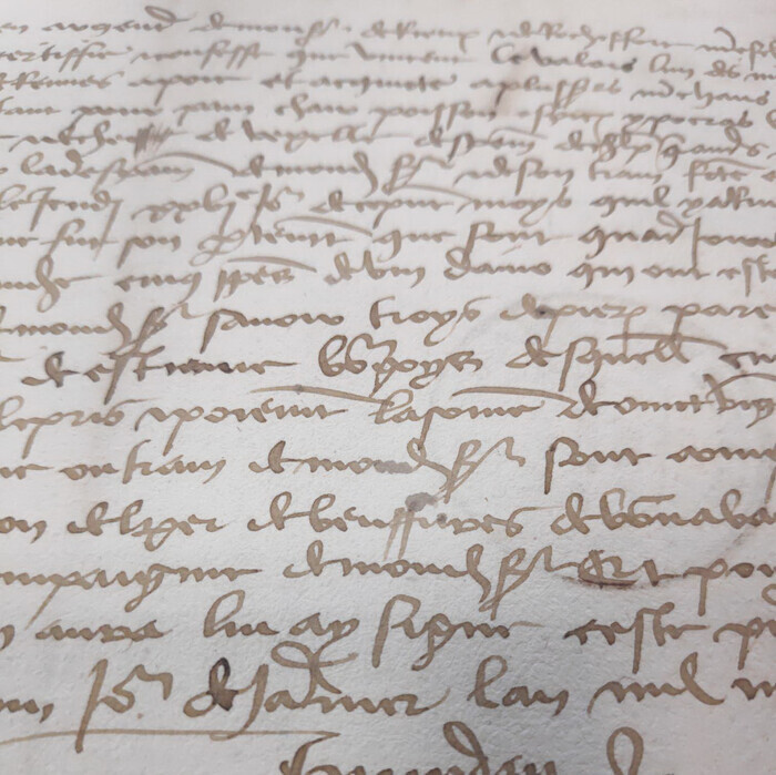 Déchiffrer les écritures anciennes, Archives municipales de Rennes, Rennes