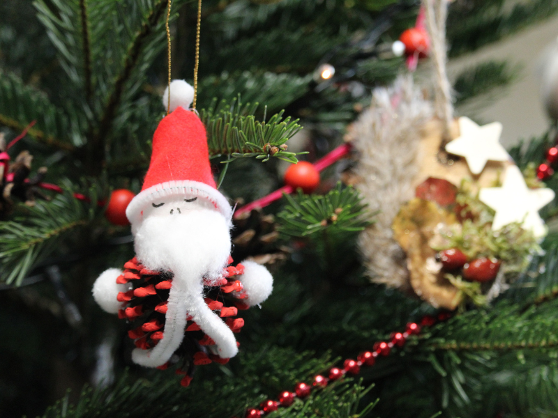 Décoration de Noël naturelle à Terres d&rsquo;Oiseaux Terres d&rsquo;Oiseaux Braud-et-Saint-Louis