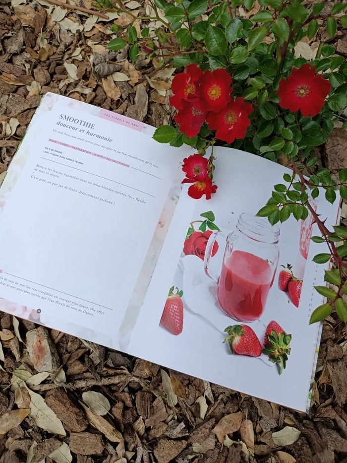 Découverte de cocktails épicés, Jardin du Vent, Notre-Dame-de-Monts