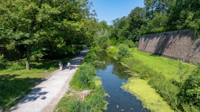 Découverte de la faune aquatique Parc de la Citadelle Lille