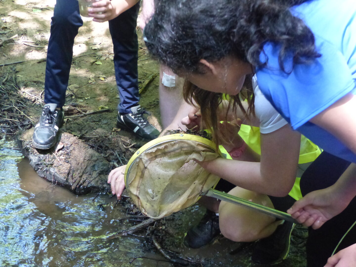 Découverte de la faune aquatique Parking de la Fosse Arthour Saint-Georges-de-Rouelley 2026-04-16