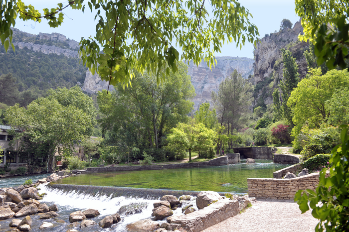 Découverte de la faune et de la flore musée-bibliothèque François Pétrarque Fontaine-de-Vaucluse