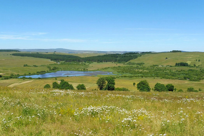 Découverte de la flore de la Réserve naturelle régionale du Jolan et de la Gazelle (15), Réserve Naturelle Régionale du Jolan et de la Gazelle, Ségur-les-Villas