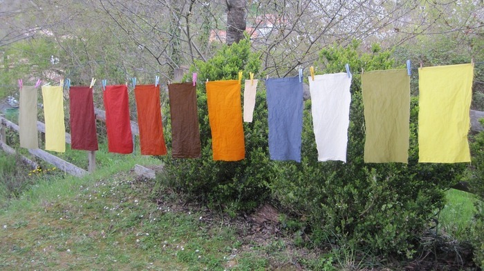 Découverte de la teinture végétale, Castanet-Tolosan – Salle de l’Odalisque, Castanet-Tolosan