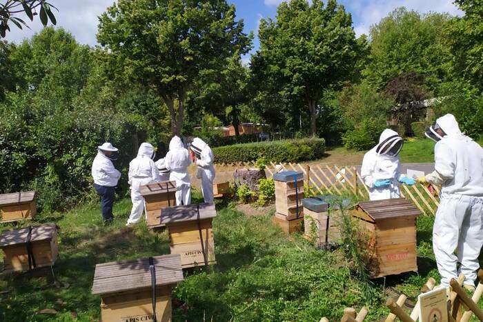 Découverte de l&rsquo;apiculture à Nanterre, Vive les Groues, 290 Rue de la Garenne, 92000 Nanterre, France, Nanterre