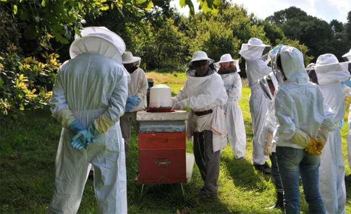Découverte de l’apiculture, Domaine de Villarceaux, Chaussy