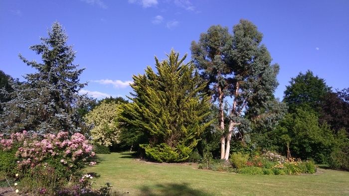 Découverte de l'arboretum Les Feuilles Fleuries de Saint-Eloi Arboretum Les Feuilles fleuries Saint-Éloi