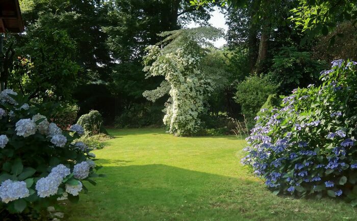 Découverte de l'univers des acers Les Acers Lons