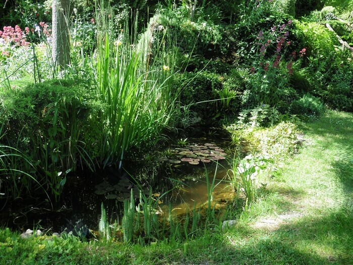 Découverte de mon jardin, La ferme fleurie de Joëlle, Segonzac
