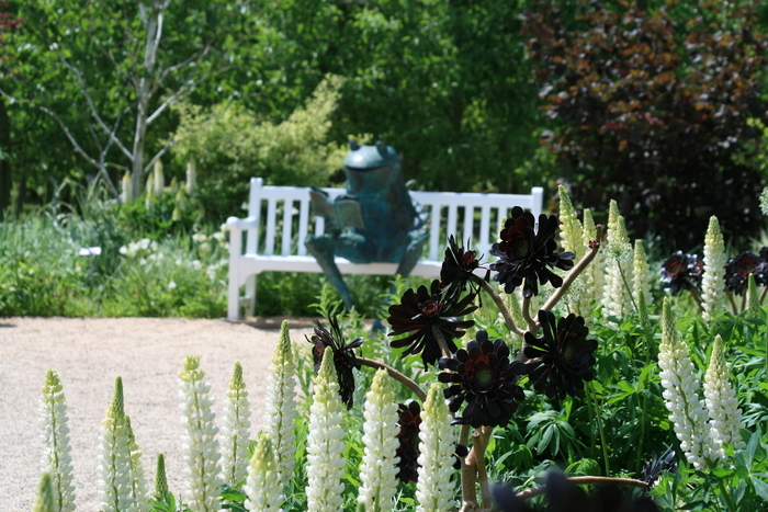 Découverte des Jardins Fruitiers de Laquenexy, Les jardins Fruitiers de Laquenexy, Laquenexy