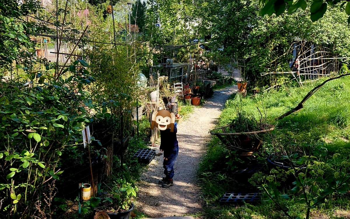 Découverte des plantes sauvages à la Gare eXPérimentale LA GARE EXPERIMENTALE Paris
