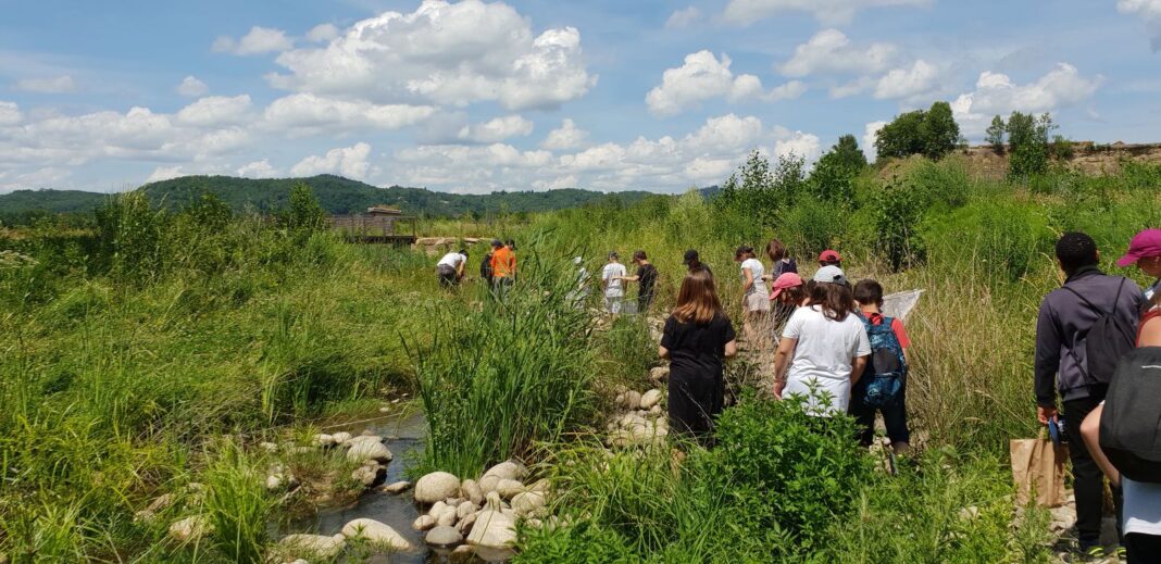 Découverte des relations plantes insectes, à la réserve départementale de biodiversité d’Argentat Argentat-sur-Dordogne