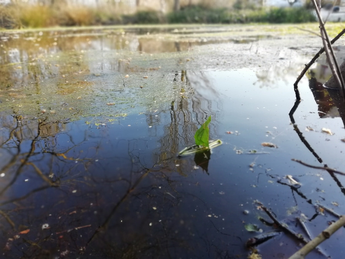 Découverte d'Orbec au fil de l'eau Place de la mairie Orbec
