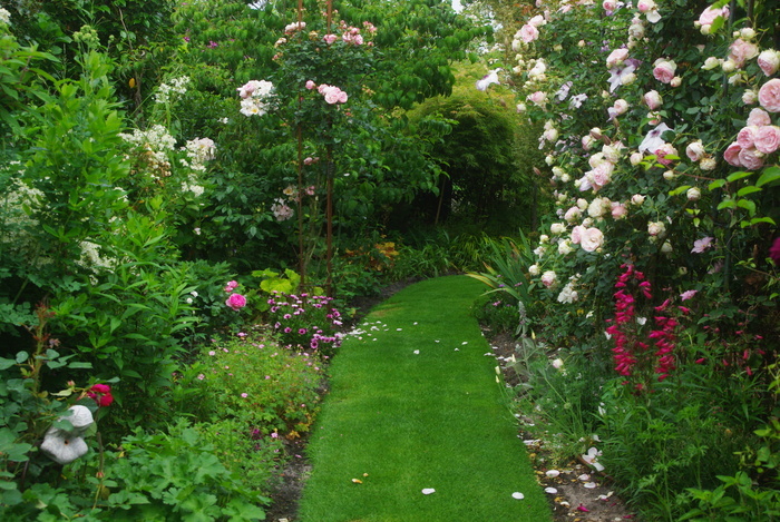 Découverte du jardin de Jacqueline et Michel Le Jardin de Jacqueline et Michel Saint-Paul-en-Born