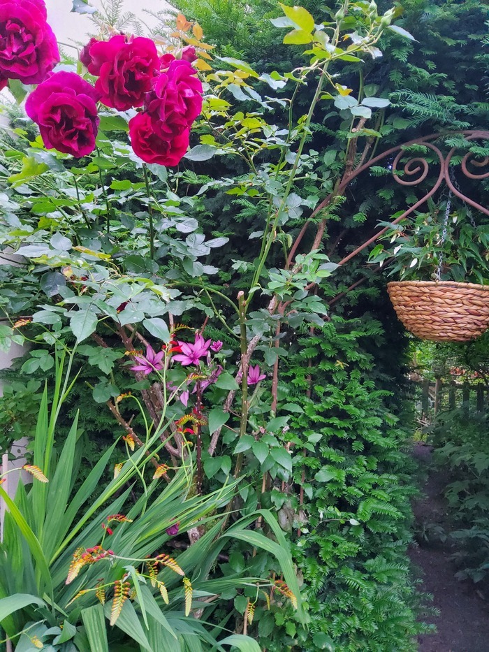 Découverte du Jardin de l&rsquo;Aridaine, Le jardin de l&rsquo;Aridaine, La Forêt-le-Roi