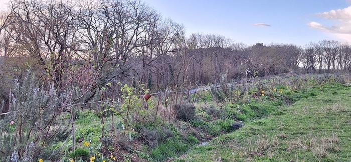 Découverte du jardin des bonbons, Le jardin des bonbons, Aillas