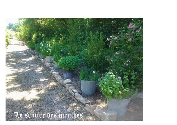 Découverte du jardin d&rsquo;inspiration médiévale., Jardin Médiéval « Les Clausous », Saliès