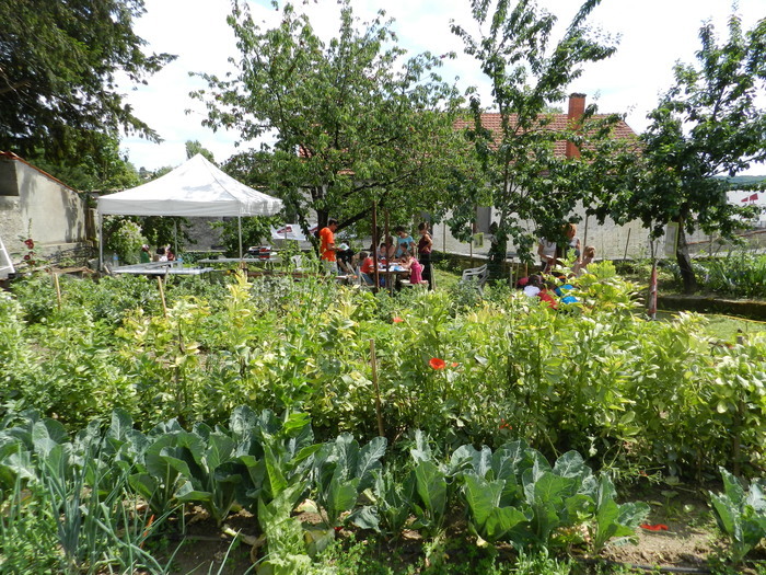Découverte du jardin partagé Jardin Partagé Jonzac