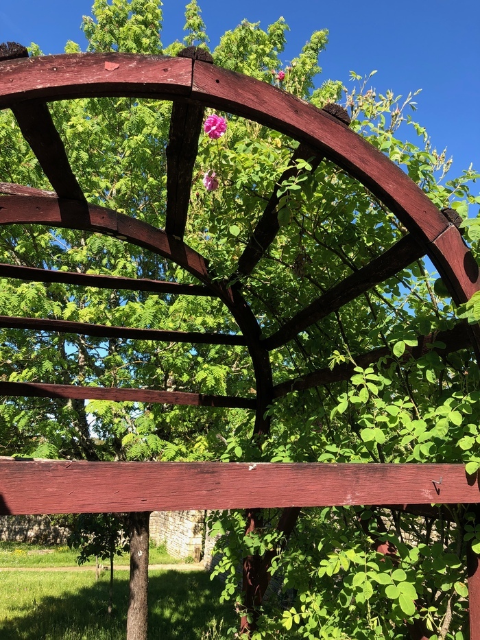 Découverte d&rsquo;un jardin monastique médiéval, Jardin monastique médiéval de Tusson, Tusson