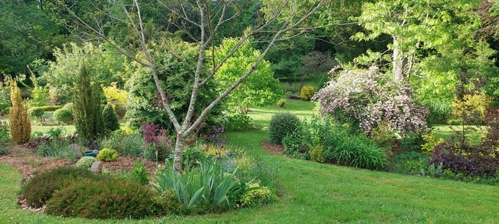 Découverte d'un jardin paysager Jardin-parc Bellevue de Cintrat Saint-Just-le-Martel