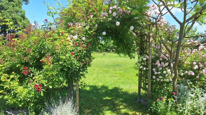 Découverte d'un jardin romantique Jardin à Villemblée Bouresse