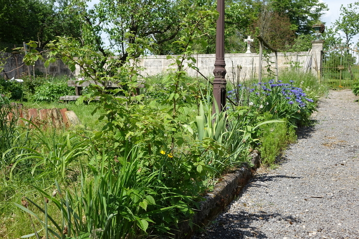 Découverte d'un jardin tout à la fois médiéval