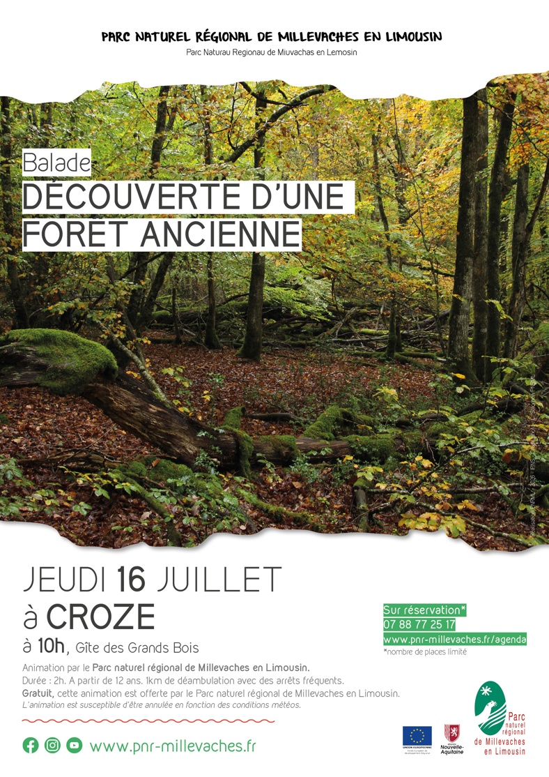 Découverte d'une forêt ancienne Gîte les Grands Bois Croze 2026-07-16
