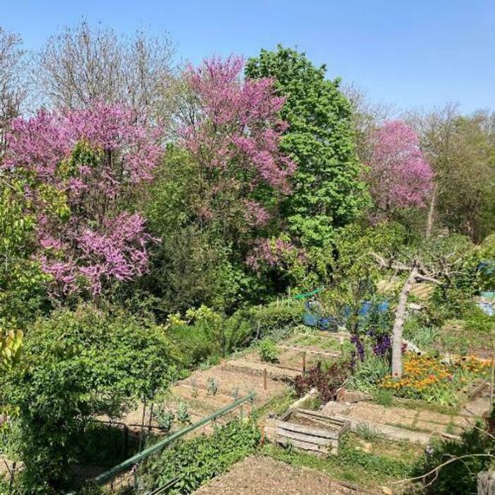 Découverte et balade surprise dans les jardins Jardins Les Eglantiers Lyon