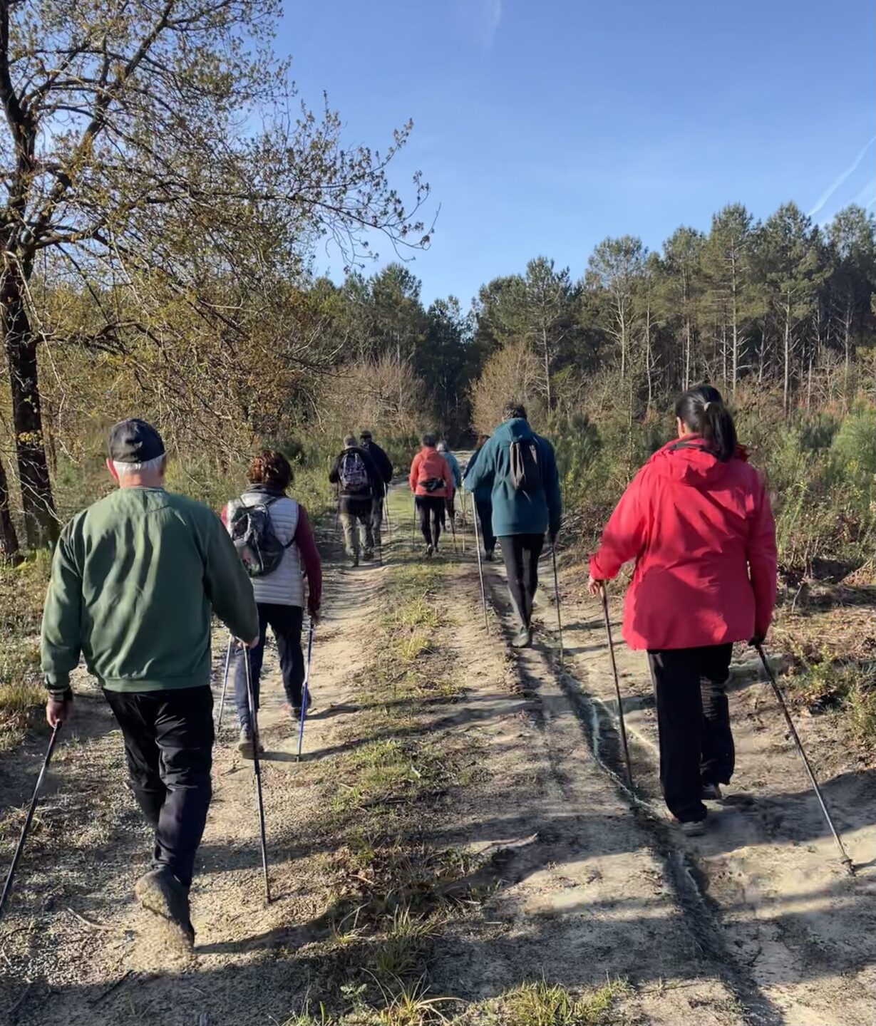 Découverte gratuite de la marche nordique  Mimizan