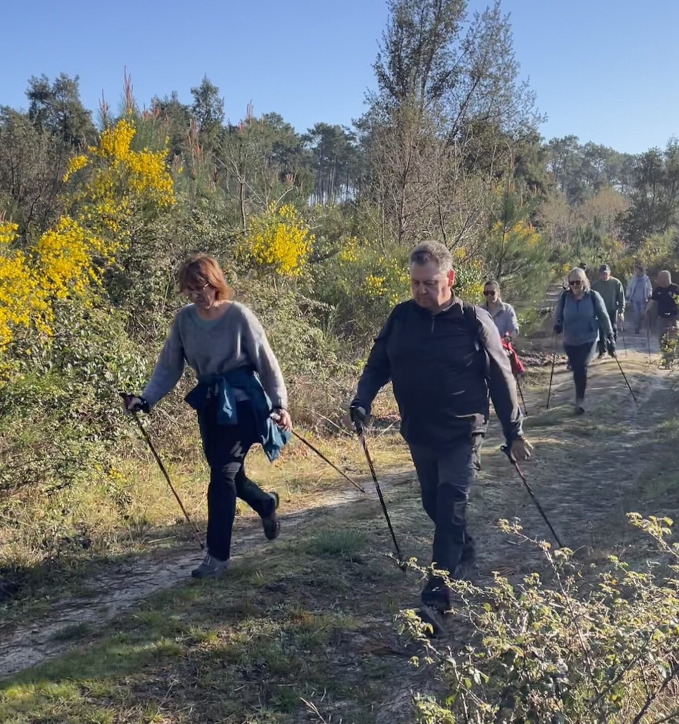 Découverte gratuite de la marche nordique Parking Plage Sud Avenue de l'océan Mimizan 2026-06-03