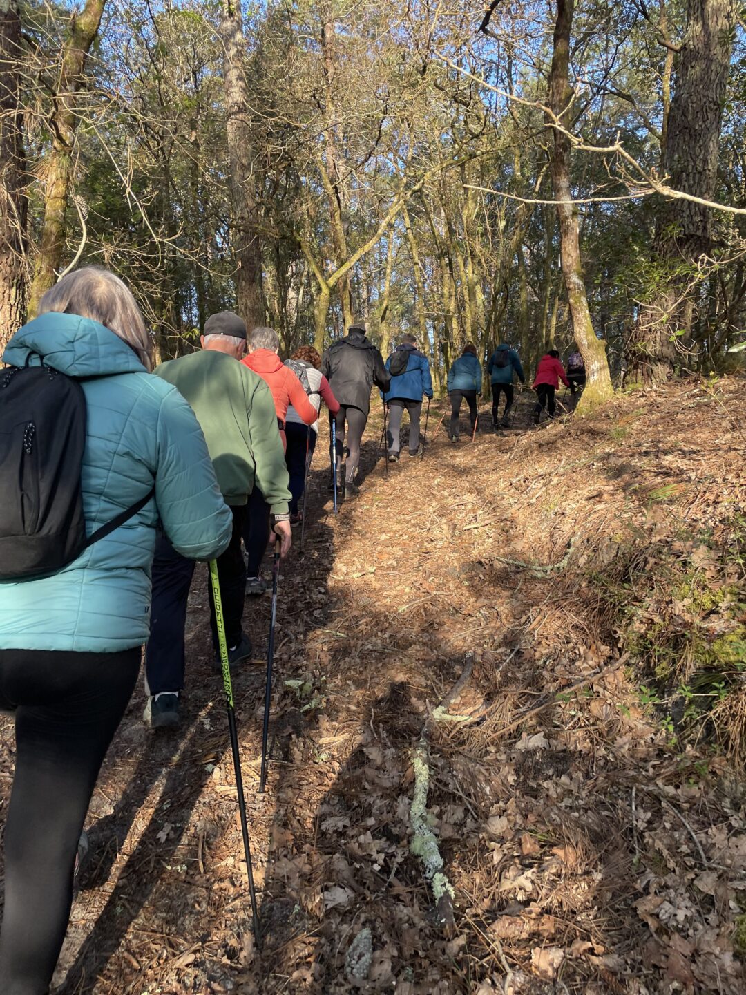Découverte gratuite de marche nordique Parking Plage Sud Avenue de l'océan Mimizan 2026-06-02