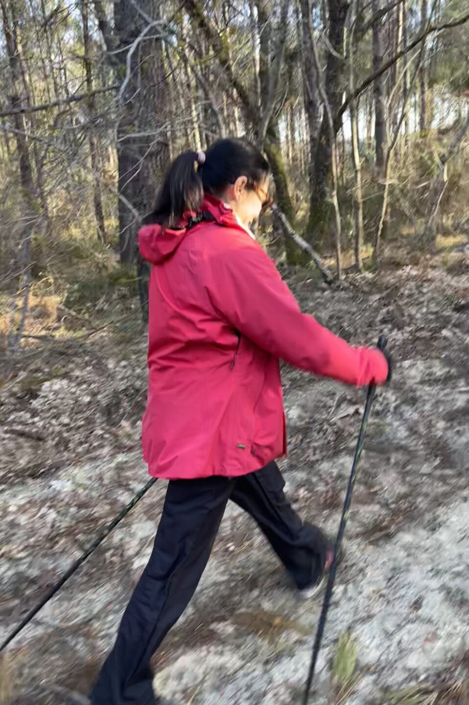 découverte gratuite de marche nordique Place Charles de Gaulle Pontenx-les-Forges 2026-06-06