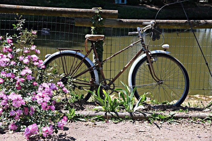 DÉCOUVERTE JARDIN DES EAUX, Jardin des eaux, Sarcey