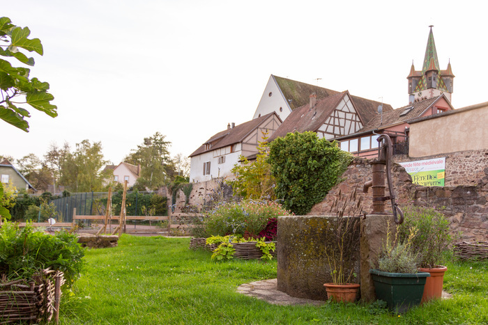 Découverte libre d’un jardin médiéval, Jardin médiéval, Châtenois