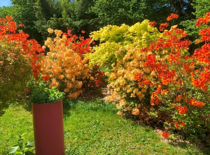 Découverte ou redécouverte du Jardin du Pré en Bulle, Jardin du Pré en Bulle, Jabreilles-les-Bordes