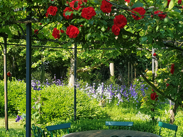 Découverte paisible d&rsquo;un jardin, Le Jardin des Instants Paisibles, Goxwiller