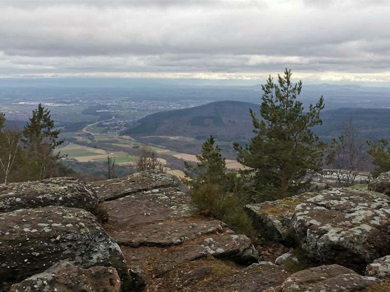 Découvrez la balade des petits monuments avec Pilgrimz Breitenau Bas-Rhin